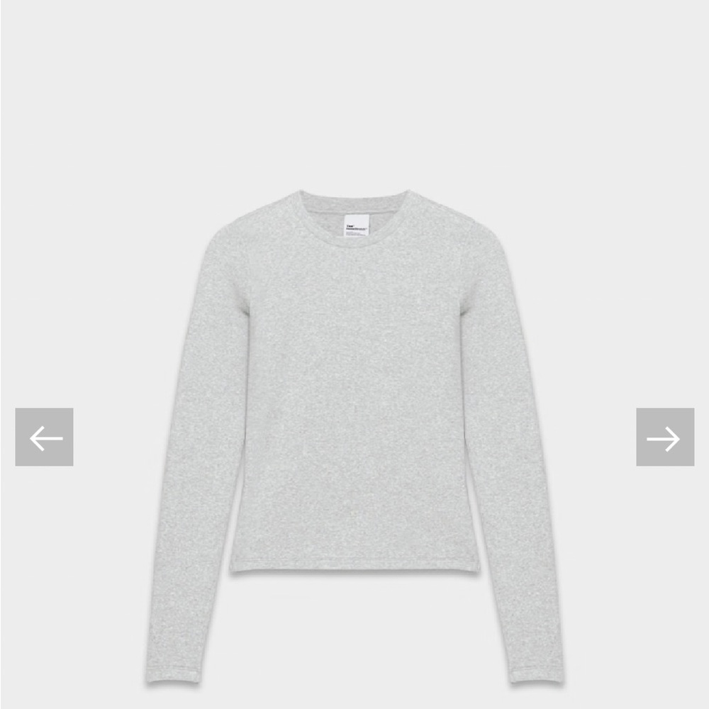 Aritzia Gray Long Sleeve Tee
